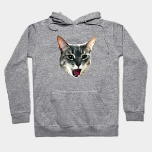 TUNA FISH! Hoodie